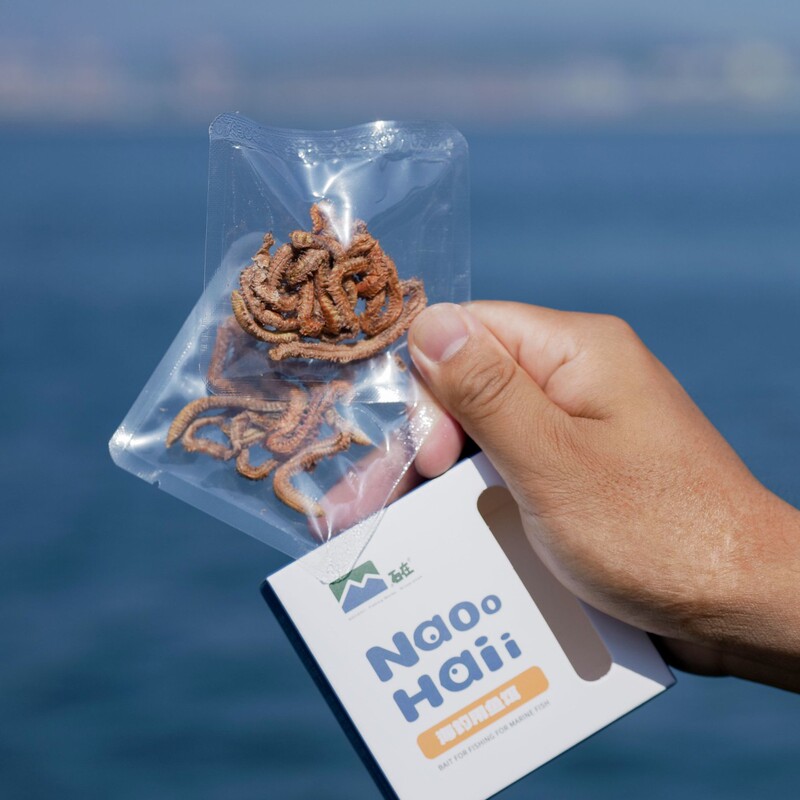 Stone Zai's Secret Recipe for Air-Dried Sandworms as Sea Fishing Bait
