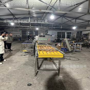 Grade 223 commercial egg egg sorting machine, egg product electronic grader, duck sorting equipment