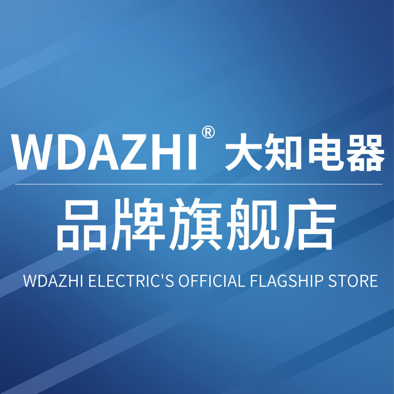大知旗舰店