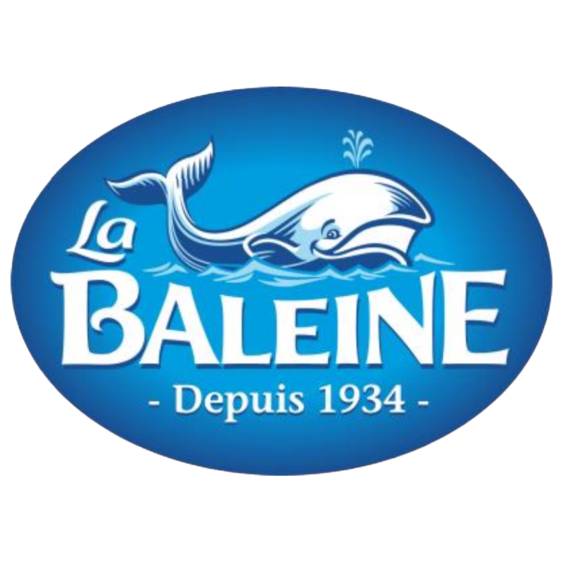 Salins海外旗舰店的LOGO