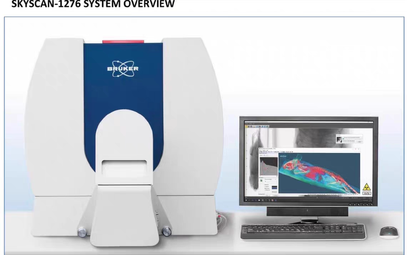 Services Provided: Microct Scanning, Bruker Microct-1276, Mouse, Rat, Rabbit Scanning + Analysis + Reconstruction Services Provided: Microct Scanning, Bruker Microct-1276, Mouse, Rat, Rabbit Scanning + Analysis + Reconstruction