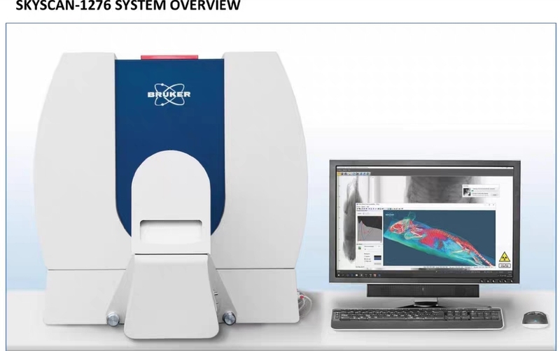 Microct Scanning Service: Bruker Microct-1276 for Large and Small Mice, Rabbits, Scanning + Analysis + Reconstruction