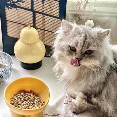 【 Newcomer Benefits 】 The cat food bowl with a slanted mouth and high legs is cute and protects the cervical vertebrae. The dog bowl for drinking water and the cat bowl prevent black chins