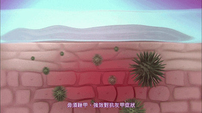 023.gif