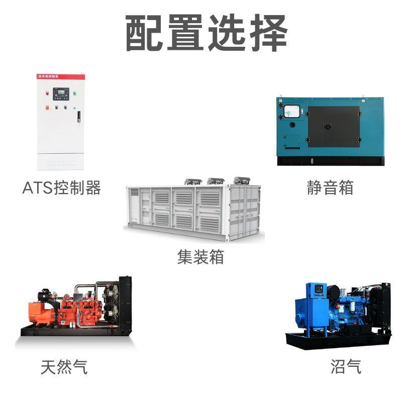 250KW燃气发电机：养殖场备用电源新选择，沼气天然气发电机组的绿色革命！