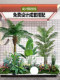 Simulated Green Plant Landscape Decoration Combination, Indoor Artificial Flower Trees, Tropical Plants, Large Shopping Mall Window Decorations, Artificial Trees