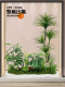 Simulated green plant landscaping combination window decoration fake plant landscaping courtyard layout entrance hall indoor atmosphere tree
