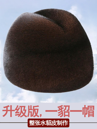 Mink Fur Hat for Men, Middle-Aged and Elderly, Mink Fur Old Man's Hat, Winter Warm Fur Cotton Hat, Ear Protection, Whole Mink Fur Landlord Hat