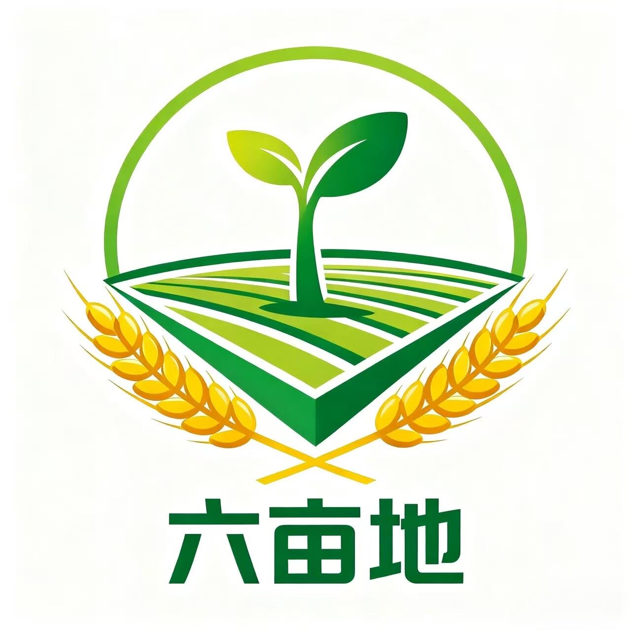 六亩地种业