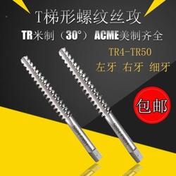 T4 5x2 6 810 TR12 14-26 T- 타입 사다리꼴 테이퍼 전면 및 후면 치아