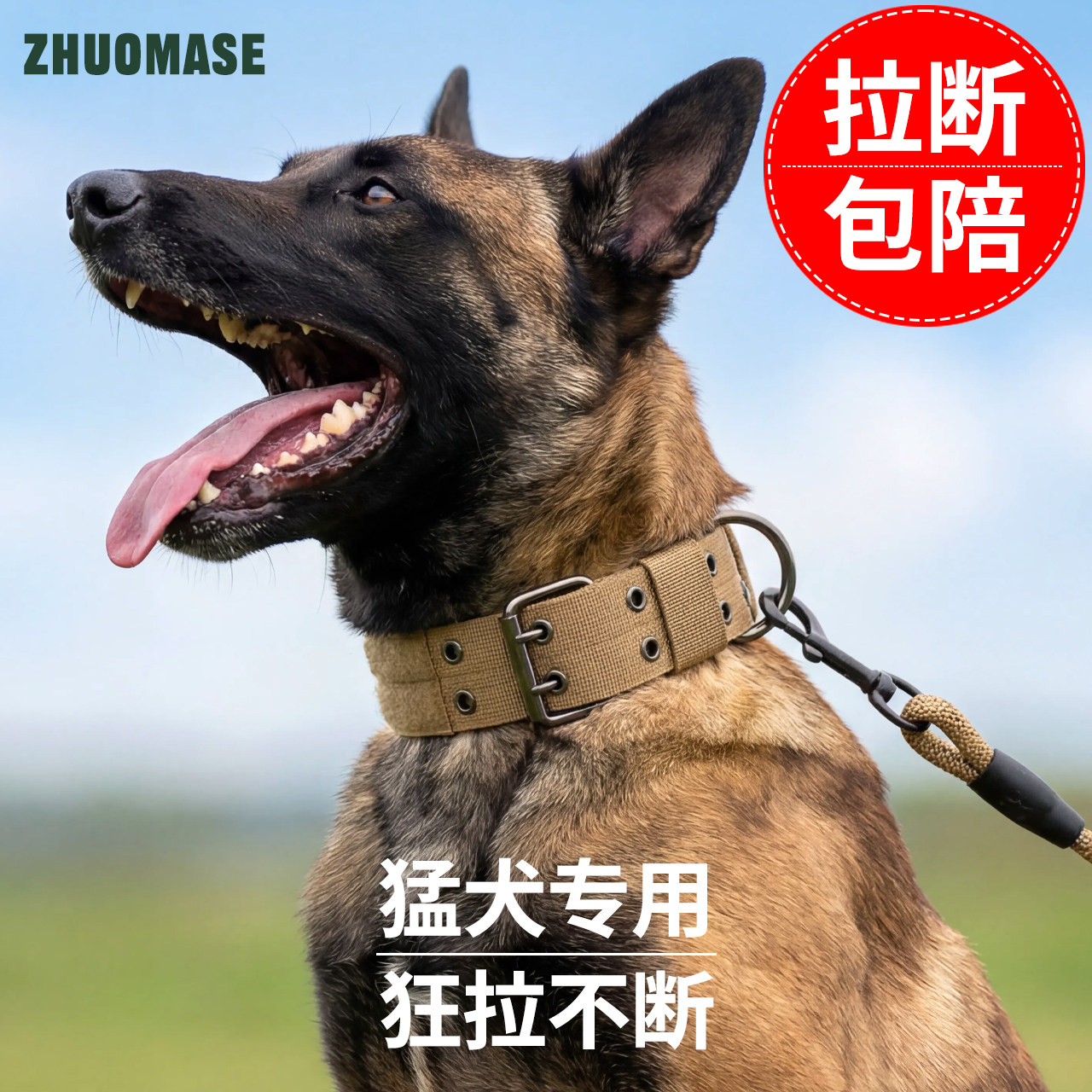 犬用首輪、犬用ネックカラー、大型犬用首輪、中型犬・大型犬用、ゴールデンレトリバー、ベルジアンマリノア、ジャーマンシェパード用リード