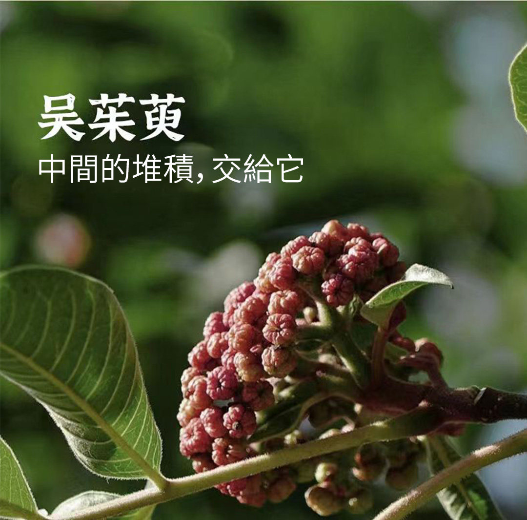微信图片_2026-03-26_172831_474.jpg