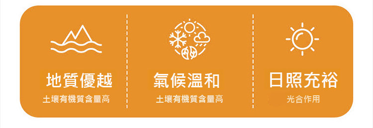 详情02.jpg