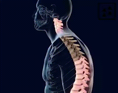 4b0e5b21d2179ba0b34fdec9e85577d4.gif