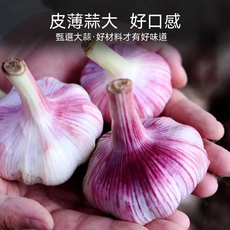 详情08.jpg