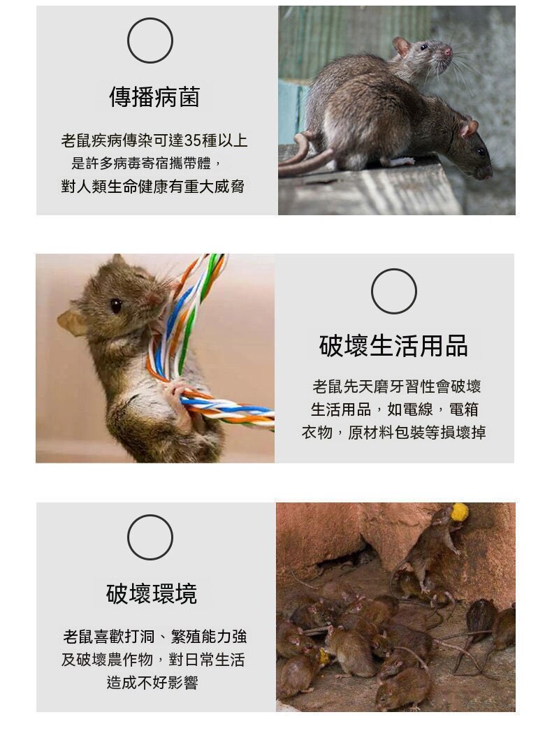 O1CN01G7VNKT29V1kgU7CMj_2211238958072-0-cib.jpg