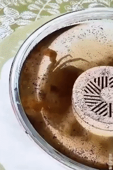 O1CN01q89wMOrwM4I0SRvz_!!1134030064.gif