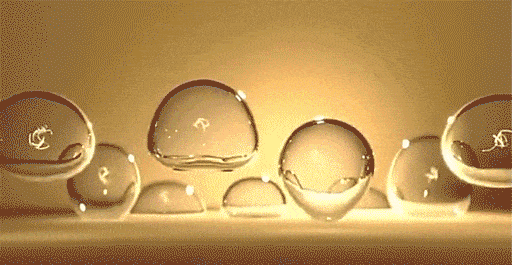 012.gif