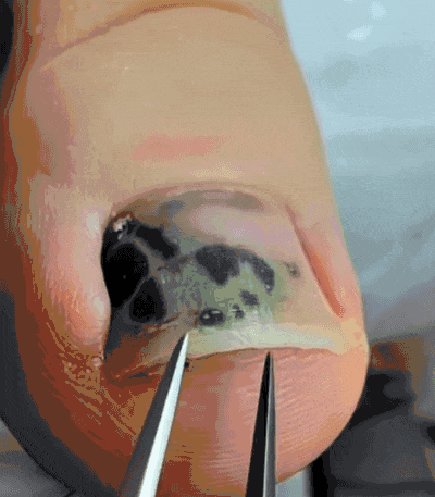 详情06.gif