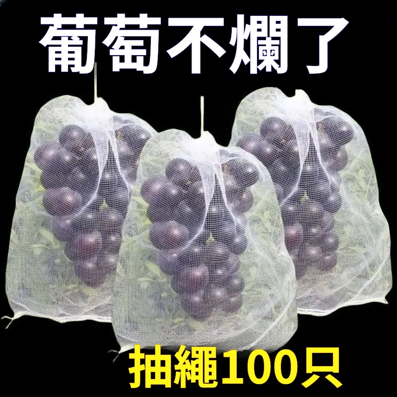 004.png