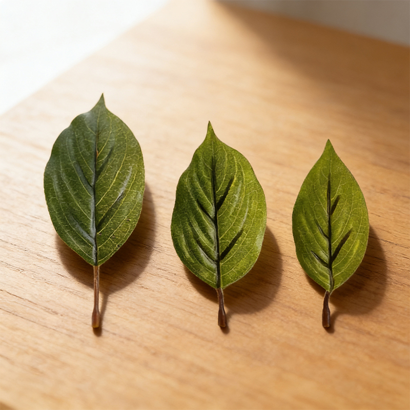 Simulated Kiwi Fruit Leaves, Green Plants, Fake Leaves, Dead Branches and Leaves for Decoration, Fake Single Kiwi Fruit Leaf Props for Photography Simulated Kiwi Fruit Leaves, Green Plants, Fake Leaves, Dead Branches and Leaves for Decoration, Fake Single Kiwi Fruit Leaf Props for Photography