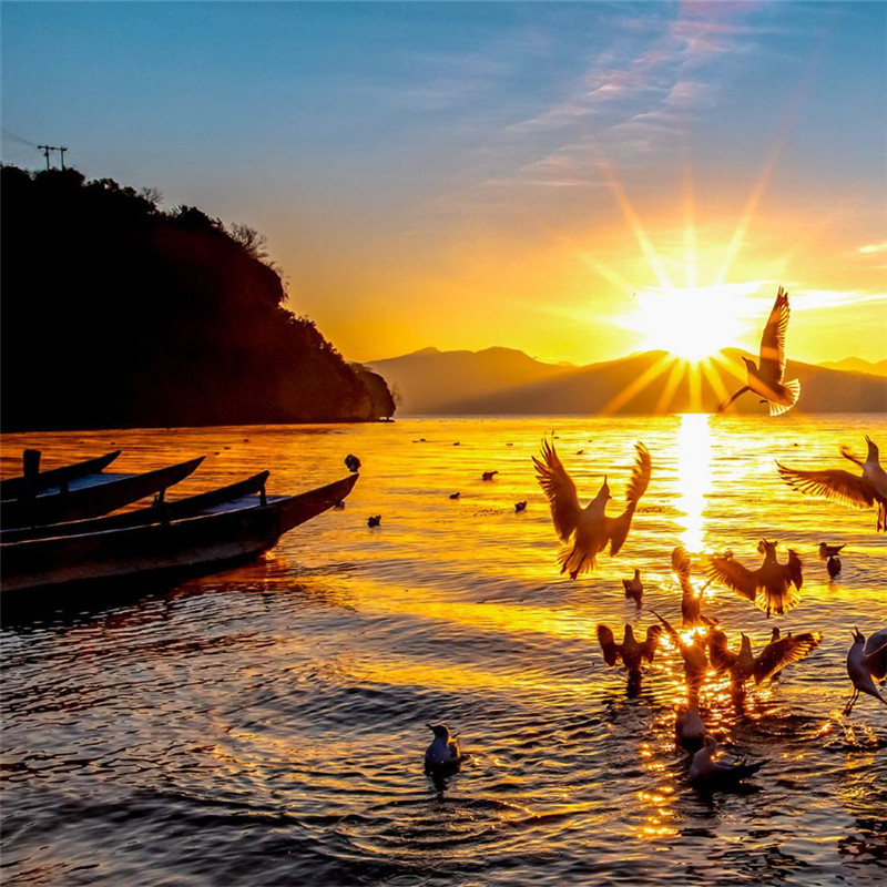 VIP私家团云南旅游丽江香格里拉5天4晚一单一团纯玩五日亲子旅行:25年高赞零差评的轻奢遛娃路线,真纯玩不拼人!-旅行团-淘宝好物网