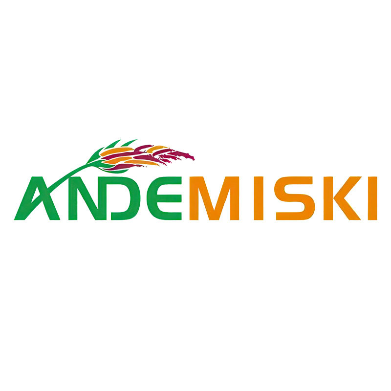 ANDEMISKI旗舰店的LOGO