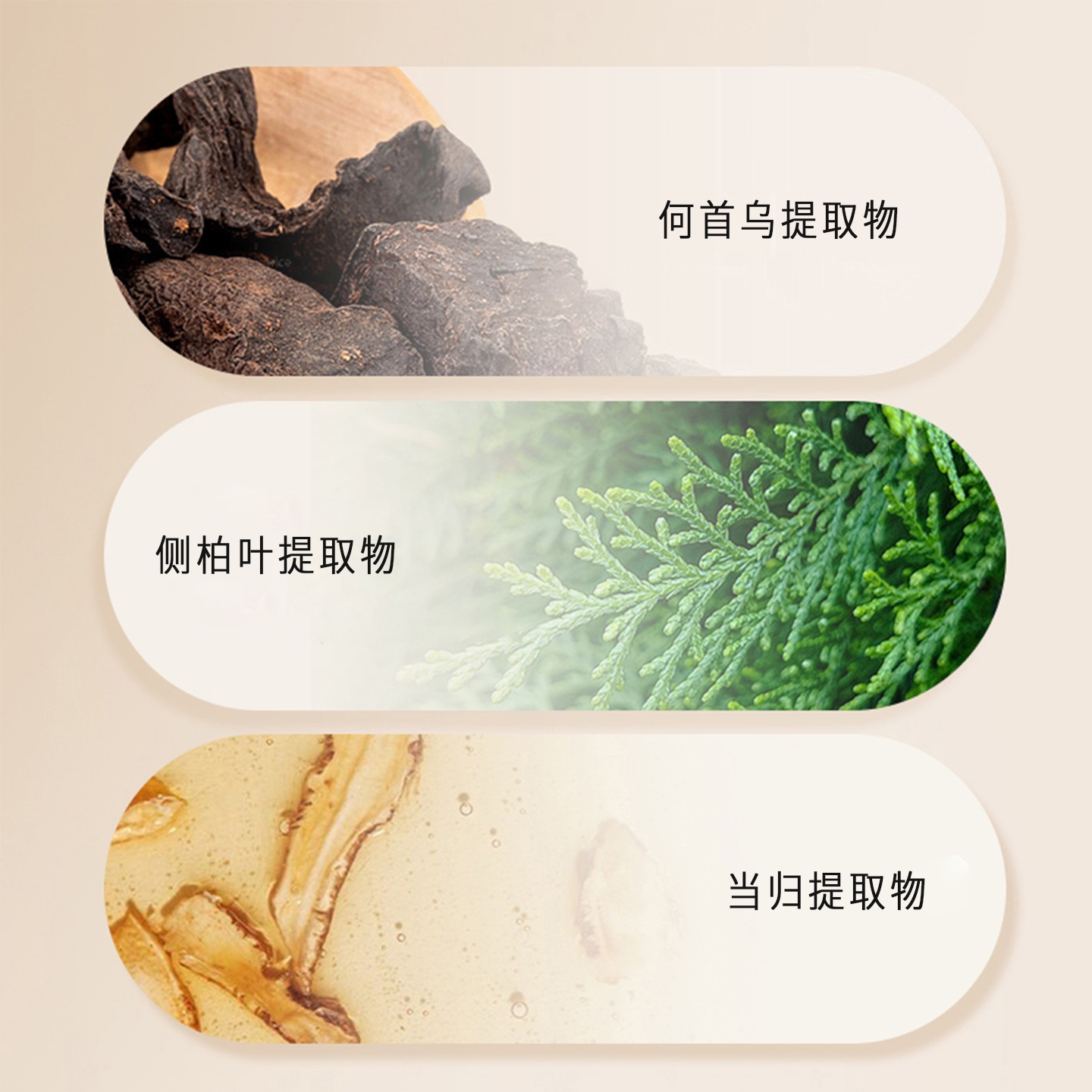 丝露杰防脱育发洗发露真能防脱吗?2025年实测效果全解析_头发护理_淘宝美妆网