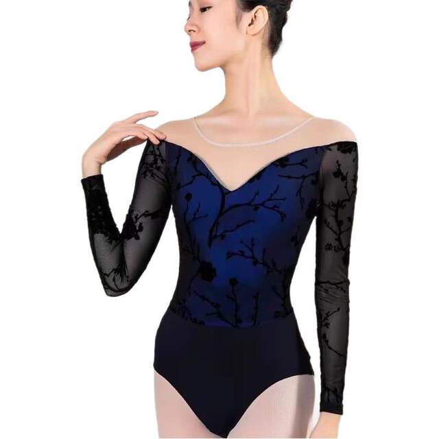 Ballet Practice Clothes, Dance Clothes, Women's Practice Clothes, Aerial Yoga Clothes, Body Shaping Clothes, Velvet Body Suits Dz17