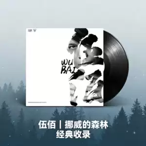 wu bai vinyl Latest Authentic Product Praise Recommendation