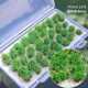 Situational Model Flower Cluster 8mm High Spring and Summer Colorful Irregular Flower Cluster Micro Landscape Platform Landscaping Handmade DIY Materials
