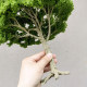35/40cm Miniature Model Large Tree Green Wire Tree Figurine Model Decoration Dollhouse Landscaping Animation Shooting