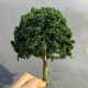 Scenario Model Wire Tree, Mid-Summer Green with Base Model, Green Tree Sand Table Platform Landscaping, Handmade DIY Materials