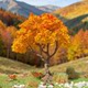 Autumn Warm Color Gradient Yellow-Orange Wire Tree Model Handmade Tree Miniature Architecture Sand Table Figure Landscaping DIY Decoration