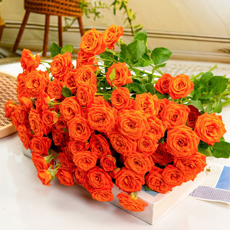 Multi-head rose bubble fresh-cut flower bouquets, direct delivery from Yunnan flower base