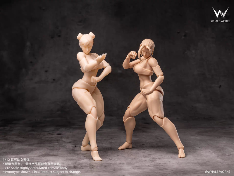 In Stock Whale Workshop Female Body Super Posable Movable 6inch Doll Figurine Model