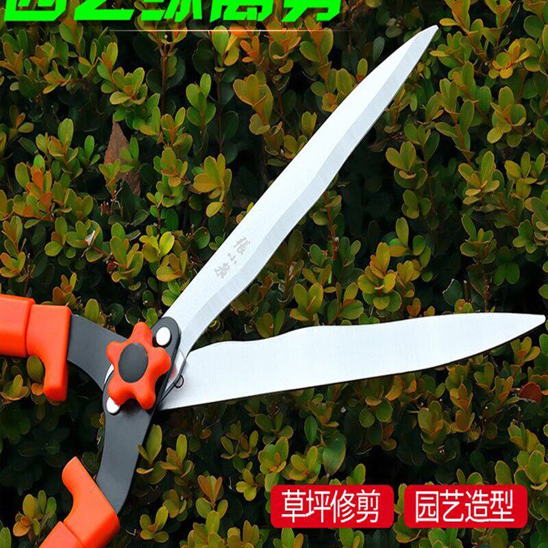 园艺剪刀长柄修枝剪大花草剪刀绿化家用工具绿篱园林修剪树