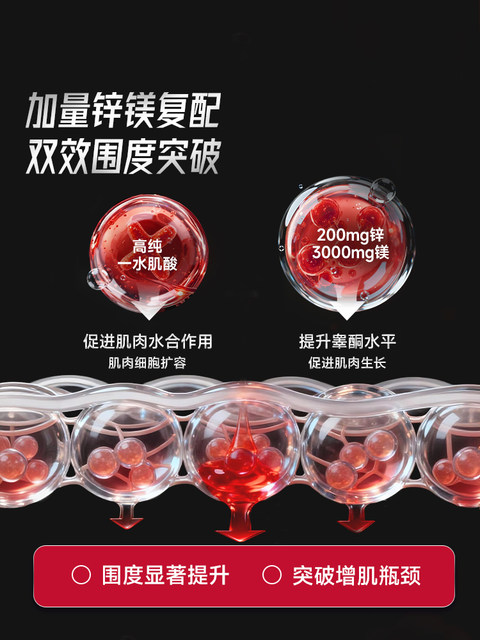 Foyes Taurine Creatine Zinc Magnesium Monohydrate Creatine Endurance Burst Non-Nitrogen Pump Amino Acid Fitness Muscle-Building Powder