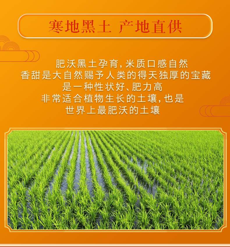 安享好物 安享A级粳米-谷米集五常大米 国标