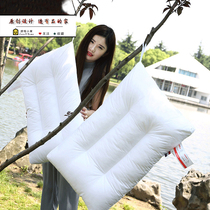 Real shot cotton washable pillow single hotel pillow home styling pillow student pillow 48x74cm pillow