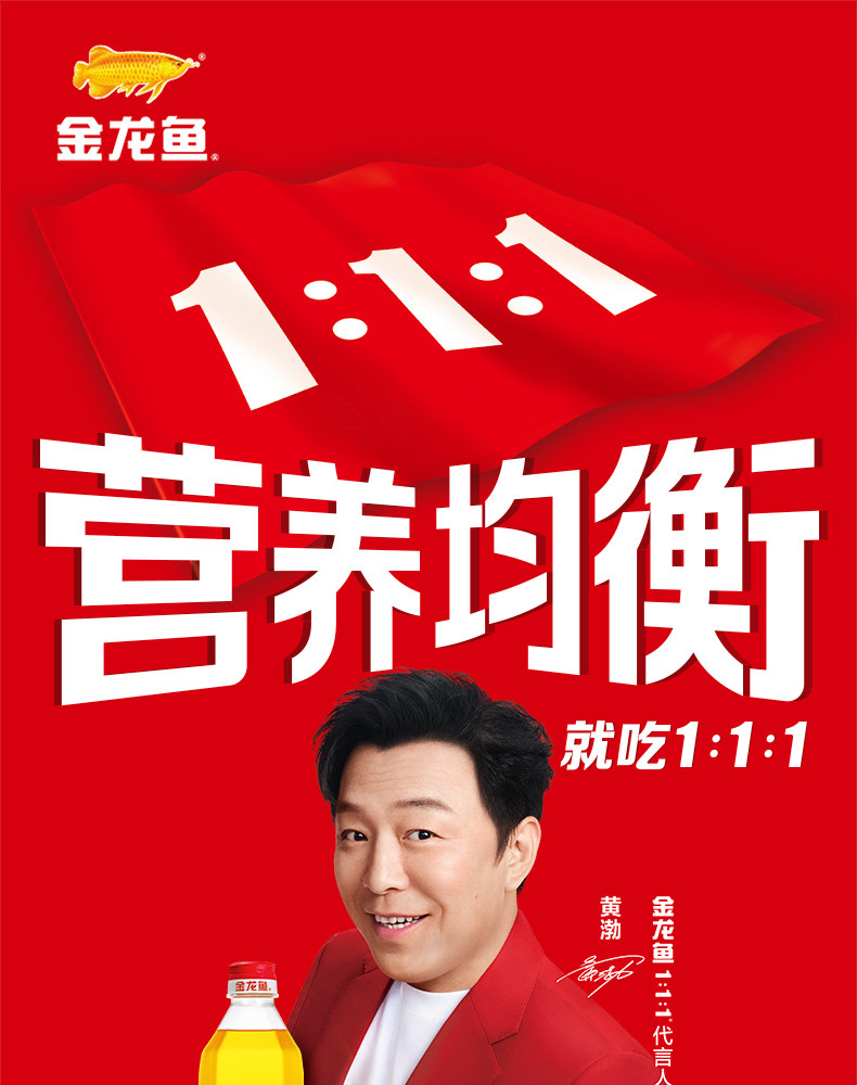 安享好物 安享D级调和油-金龙鱼黄金比例调和油 企标