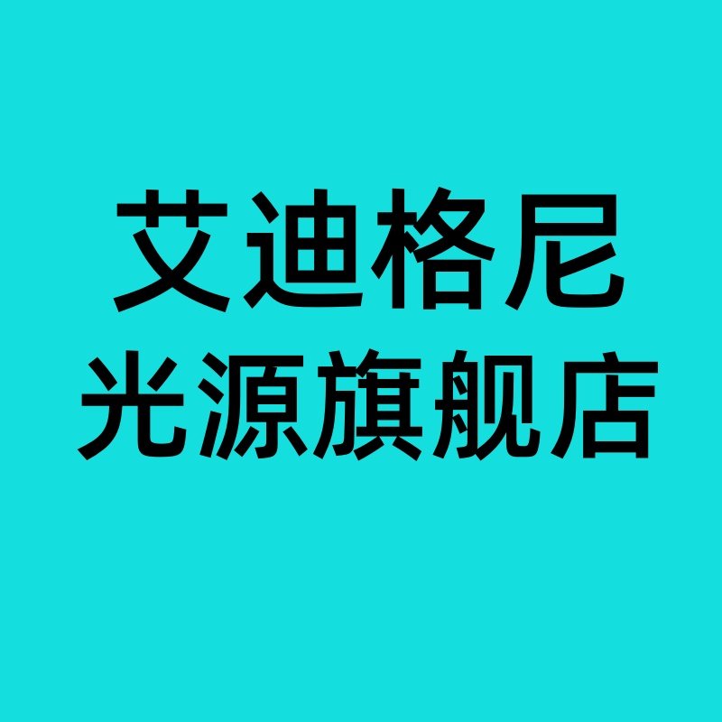 艾迪格尼旗舰店的LOGO