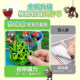 Plants vs Zombies Toy Boy Hybrid Version Magnetic Quiet Book Puzzle ສໍາລັບເດັກນ້ອຍຊາຍທີ່ມີອາຍຸຫຼາຍກວ່າ 6 ປີ 3 ປີ