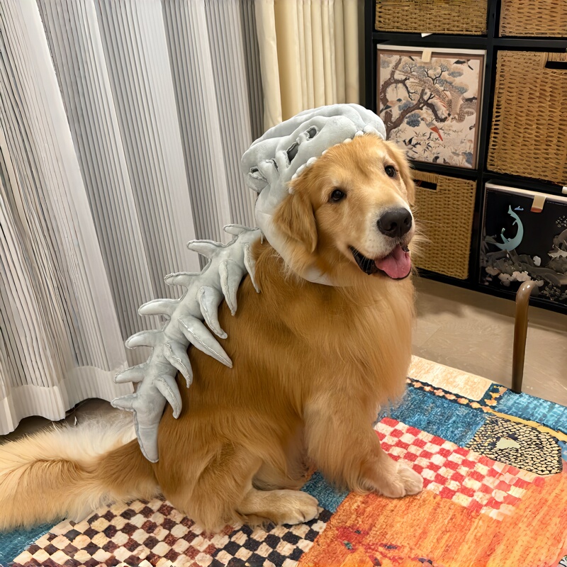 Transform into a Little Dinosaur in 1 Second~ Dinosaur Headgear Pet Costume Cute Decoration for Dogs Photo Props Dinosaur Style