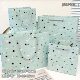 Original Mint Star Gift Bag Birthday Gift White Card Packaging Paper Bag ins High-Quality Tote Bag Storage Bag