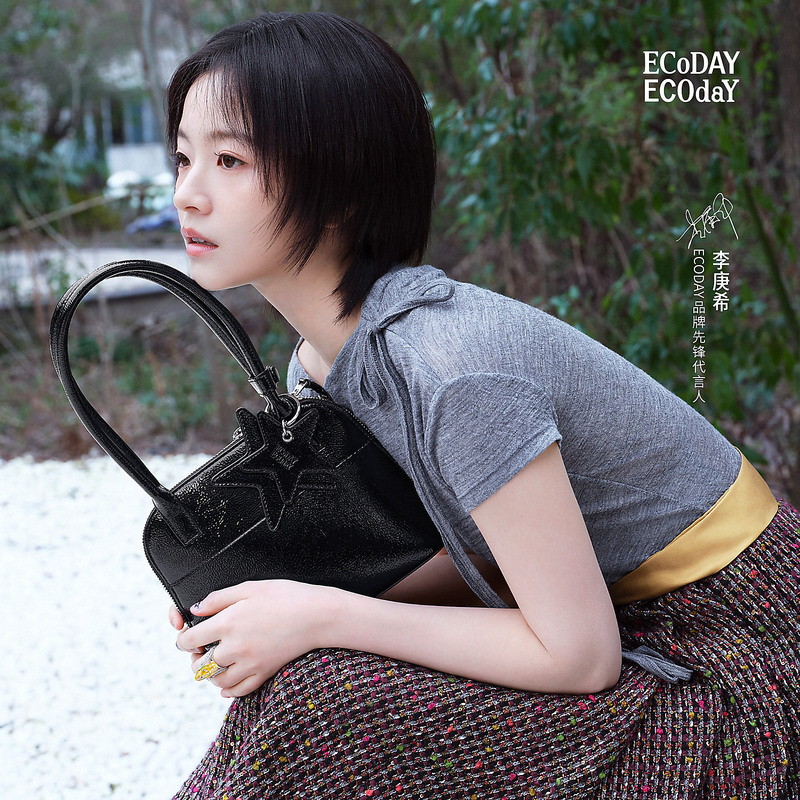 Li Gengxi's Same Style Ecoday Shell Bag, Shoulder Bag, Commuter Handbag, Women's Bag, Simple Star Accessory Small Bag