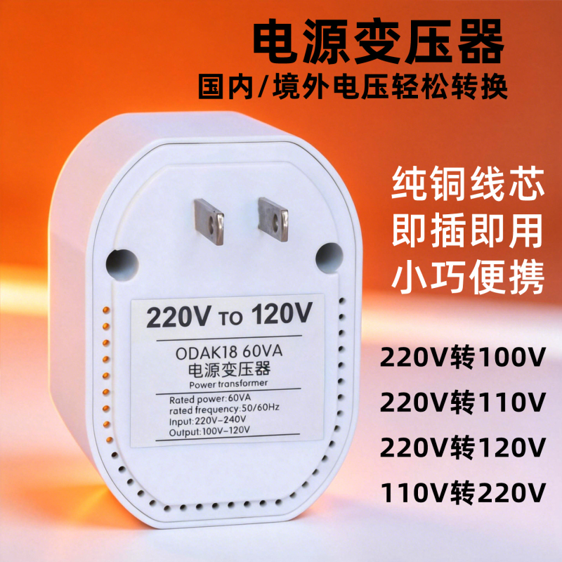 Transformer 220V to 120V, Us 110V to 220V, 220V to 100V, Japanese Power Converter Plug, Dental Cleaner