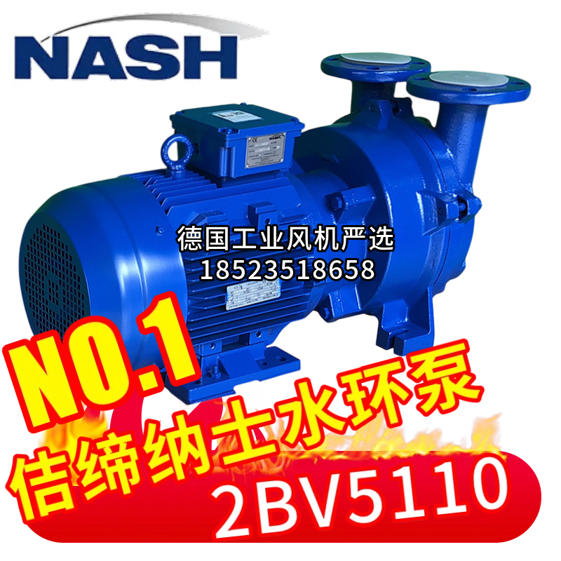 Nash Jidina Naxim Water/Liquid Ring Vacuum Pump 2Bv5110-0Kc007P Air Compressor Ex Explosion-Proof