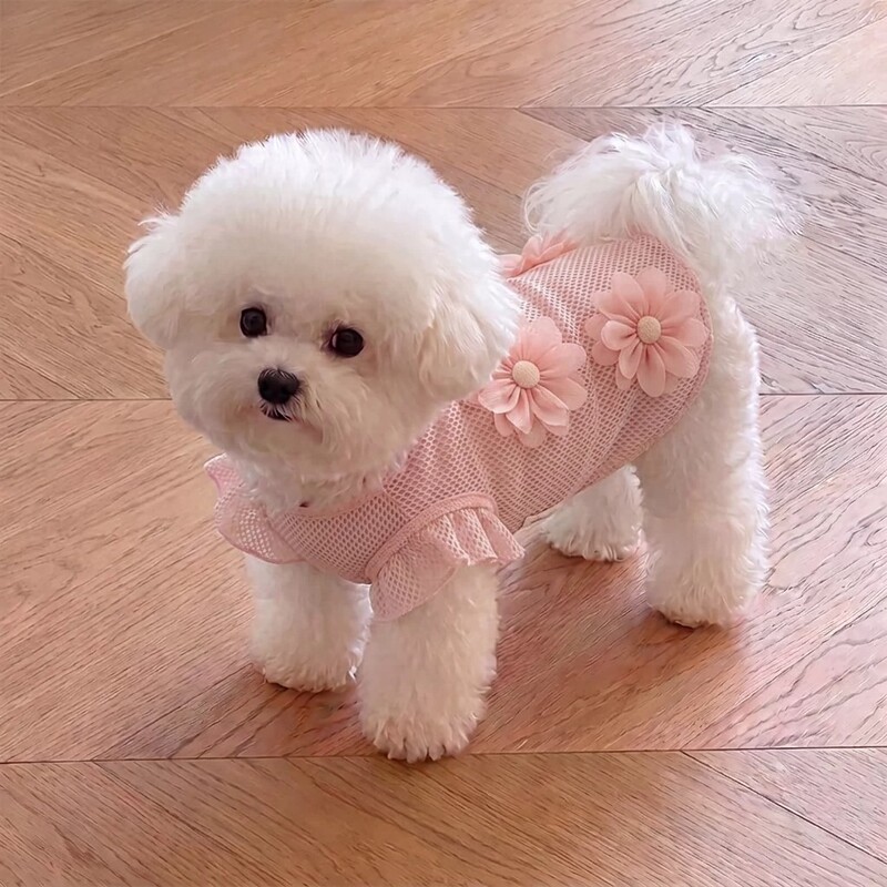 Dog Clothes Vest Pet Teddy Bichon Schnauzer Summer Thin Dress for Cats and Small Dogs Breathable