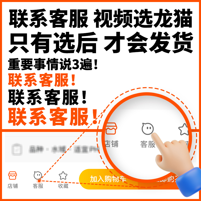 纯种龙猫幼崽：萌宠界的神秘新星